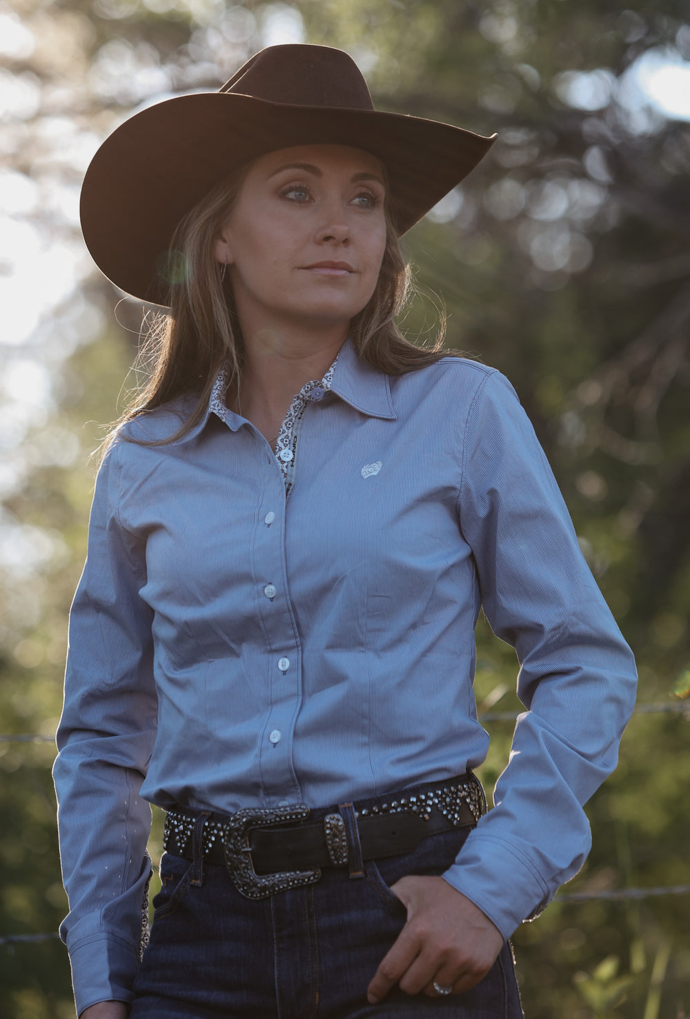 Cinch - Women's Stretch Stripe Button-Down